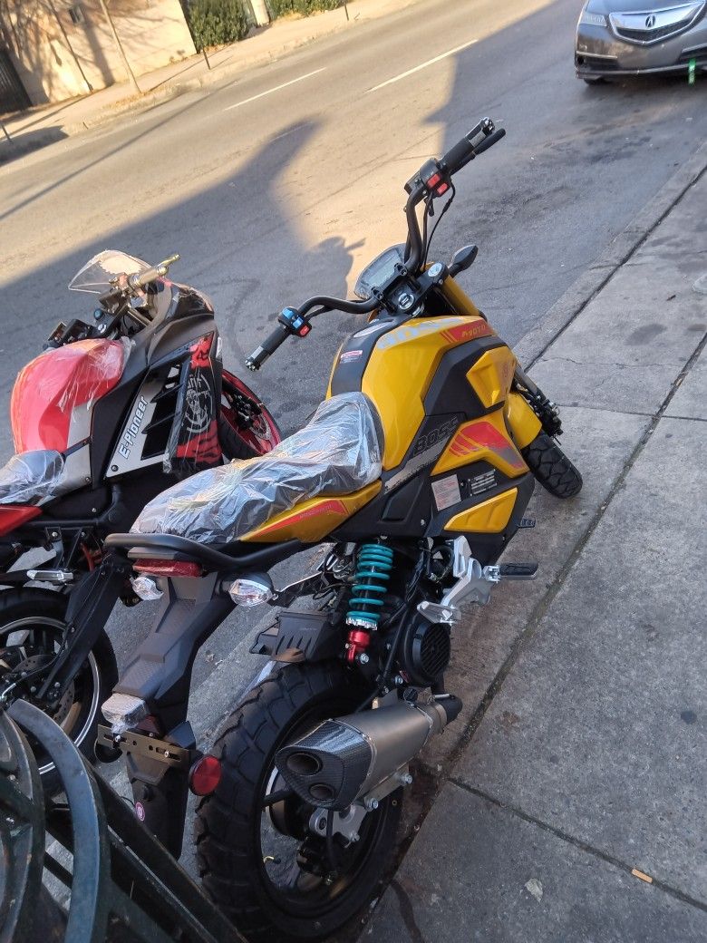Motorcycle Gas 200cc Gator Color Gold 2024