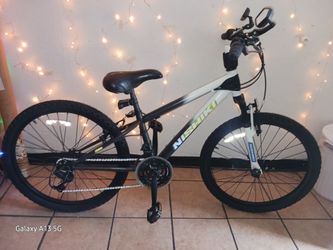 Custom 24-in mountain bike