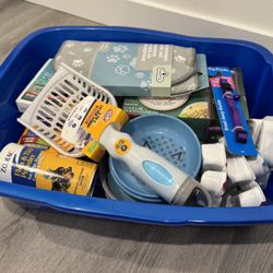 Cat starter kit, $45