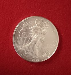 2009 Silver Eagle 