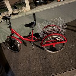 Cozy Trike 