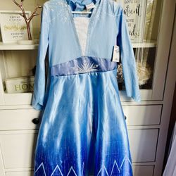 Disney Ana & Elsa Costume 