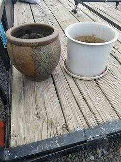 Pot plants