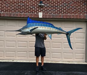 9.5ft Blue marlin mount