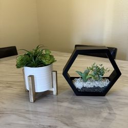 Fake Plants And Lamp