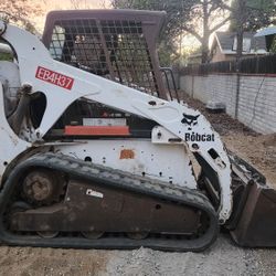 Bobcat