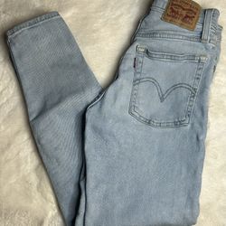 Levi's Light Washed Wedgie Skinny Jeans 