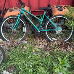 Roadmaster Mount fury, 15 speed index