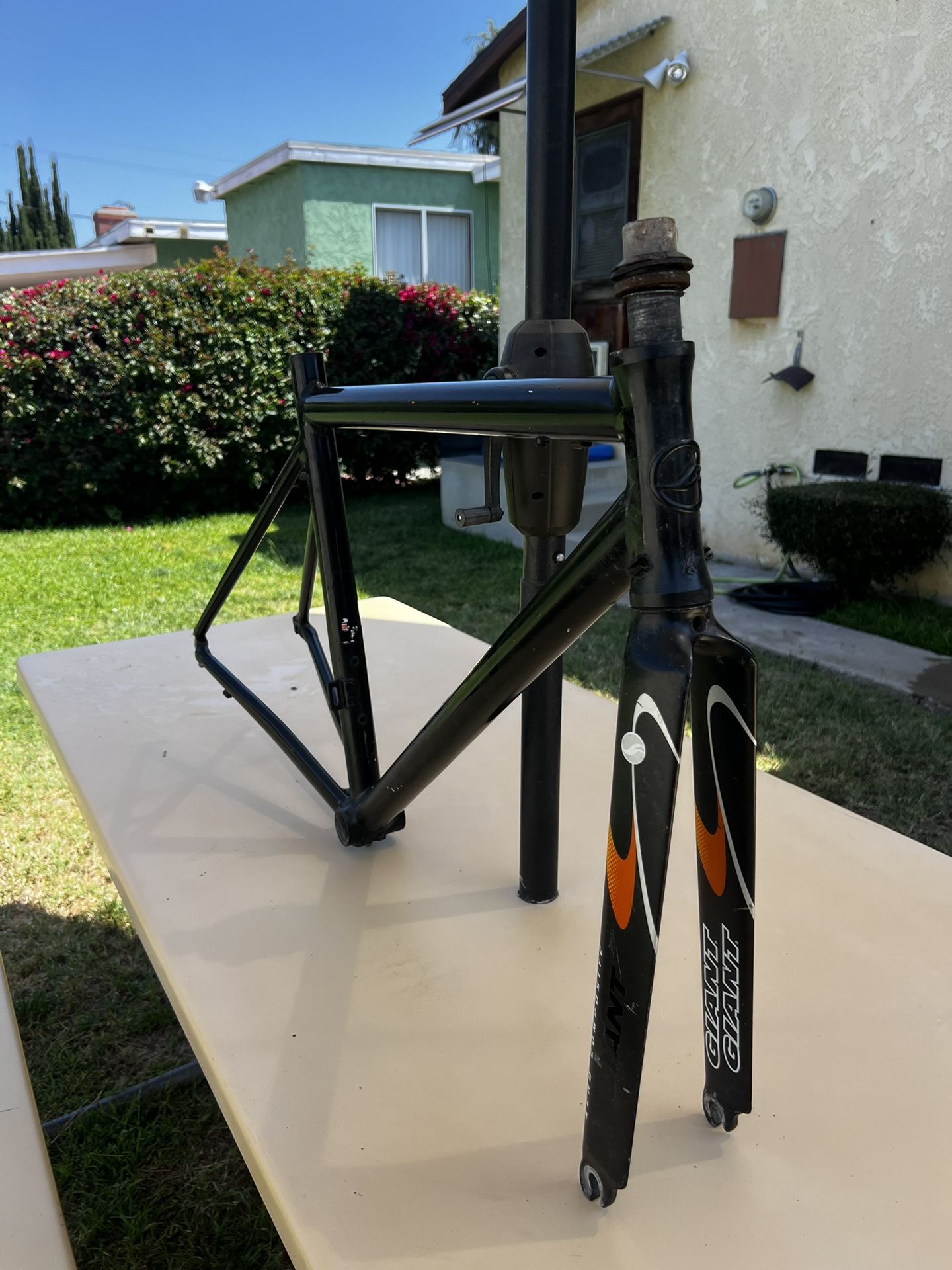 Giant 21 Inch TCR Aluminum Bike Frame