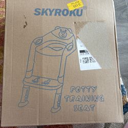 Potty training seat with ladder