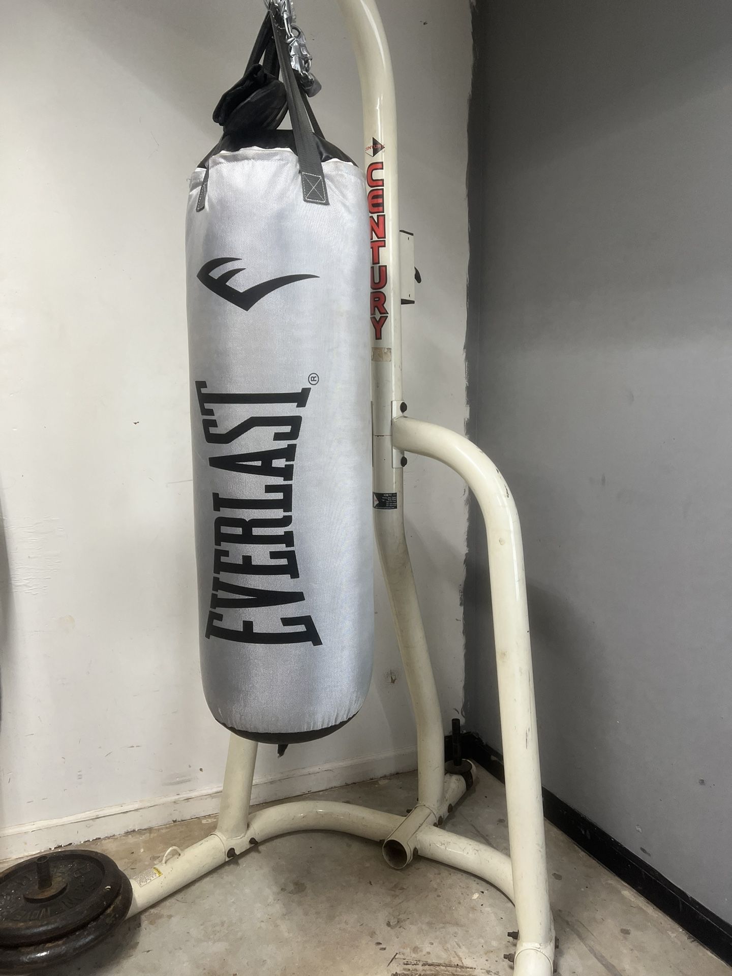 Everlast Punch Bag 70lb + Century Boxing Stand
