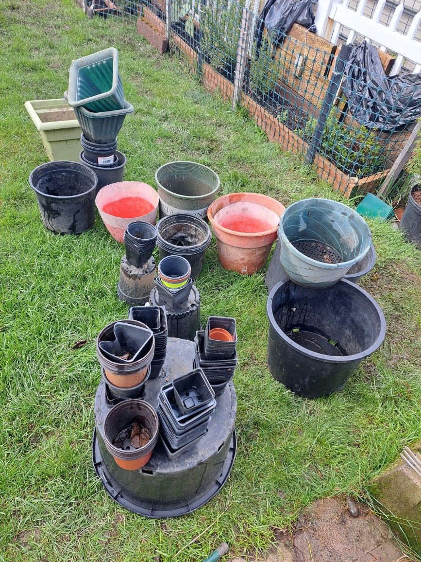 $5 Sale