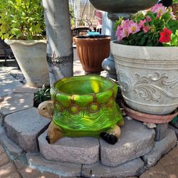 Turtle Pot 