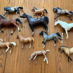 Horses  Resin 11 Pcs