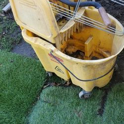 Mop Bucket