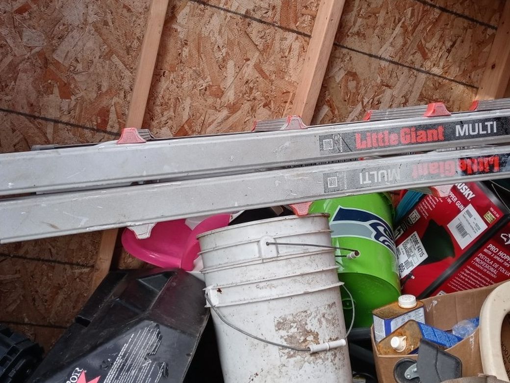 Ladder