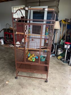 Parrot cage