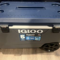 Igloo Cooler