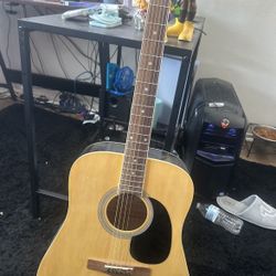 Guitar