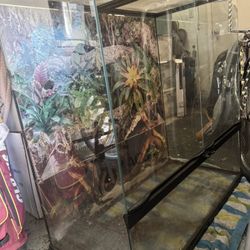 36x18x36 Paludarium Tank