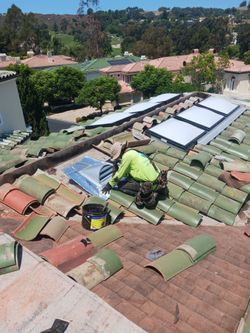 Roof Repair  – Women’s Month Flash Sale | Limited Time Pricing