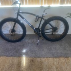 Cruiser Bike with gears