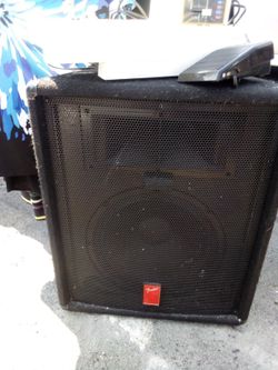 Fender PA Speaker 
