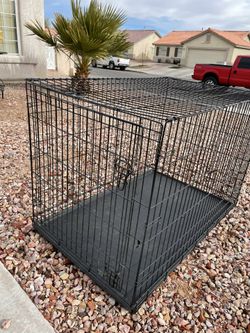 Used xxl top dog crate