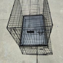 Large Dog 🐩 Crate 