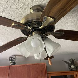 Ceiling Fan 