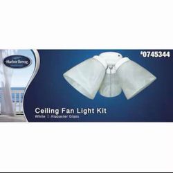 Ceiling Fan Light Kit
