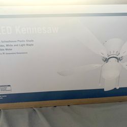 Hampton Bay Kennesaw 42 in. LED Indoor White Ceiling Fan 