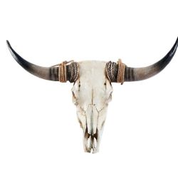 Cow Skull Wall Decor