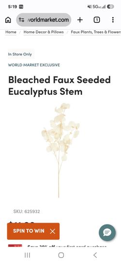 Bleached Faux Seeded Eucalyptus Stem  World Market