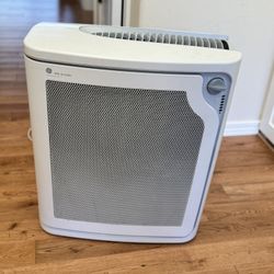 Large GE HEPA filter for the room