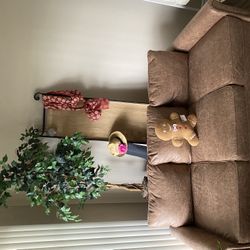 Brown Couch 
