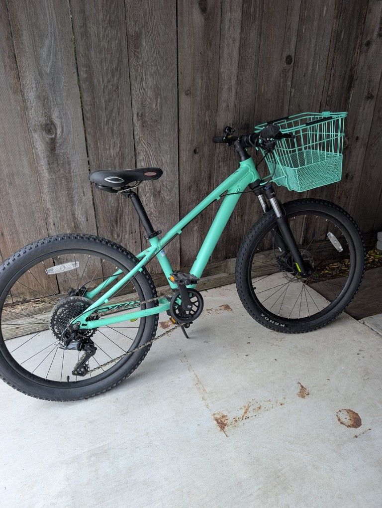 Girls Giant Liv Bike