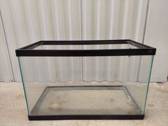 Gerbil Setup Fish Aquarium 