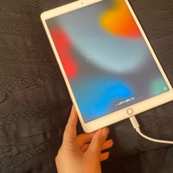 iPad Air 2019