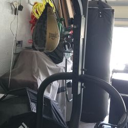 Boxing Punching Bag and Speed Bag-Everlast