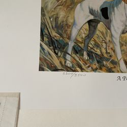 Print Of Dog By Todd Mallet