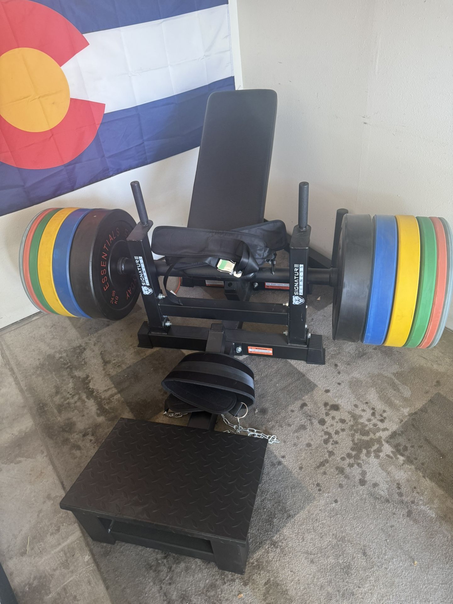 Hip Press/ Hip Thrust