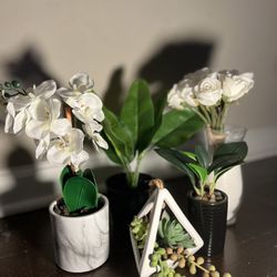 Artificial Plant Bundle