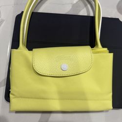 Long Champ bag (new Never Used