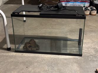 Glass fish tank
