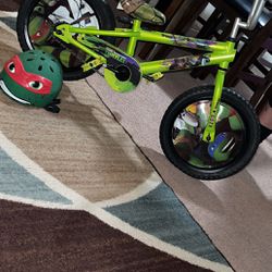 Brand New Ninja Turtle Bike 