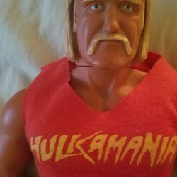 Hulk Hogan - Holy Grail Of Toys