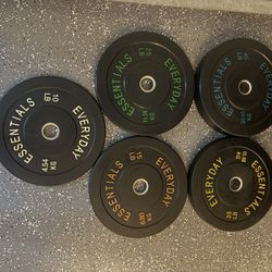Everyday Essentials Bumper Plate Set