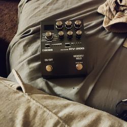 Reverb 200 Boss