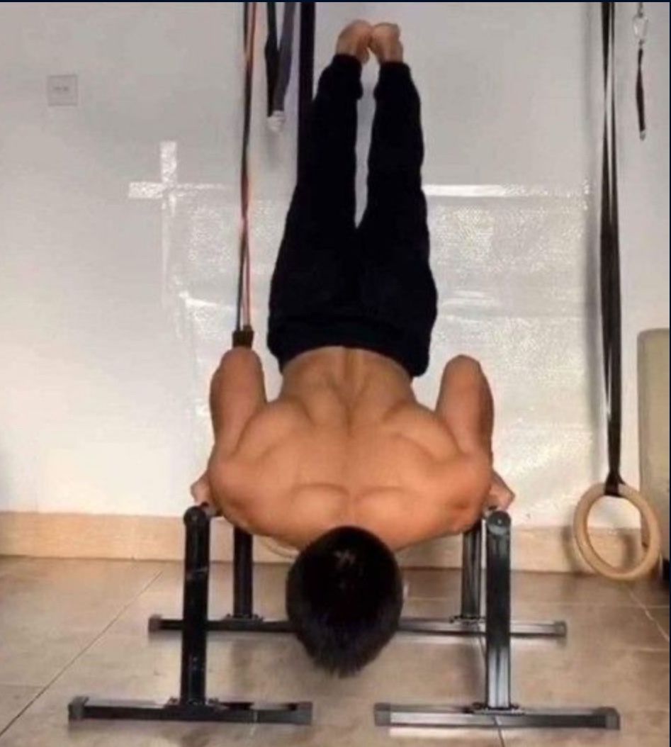 Pushup Bars 